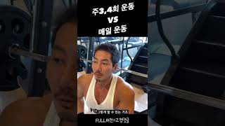 주3,4회 운동 VS 매일 운동