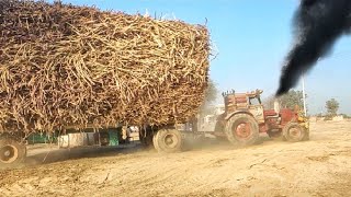 Belarus Tractor vs MTZ Tractor Pulling Fail Trailer 😲 || Tractor Video || tractortractor