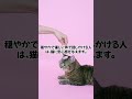 猫になぜか好かれる人の特徴5選 shorts