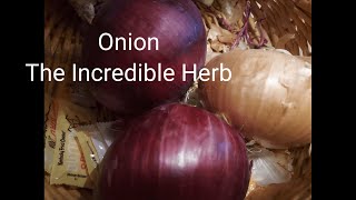 Onion The Incredible herb