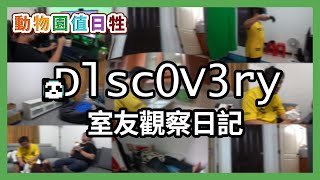 哈記殞月生物觀察日記！動物園值日牲 - #19 LifeInADay週【熊貓團團】