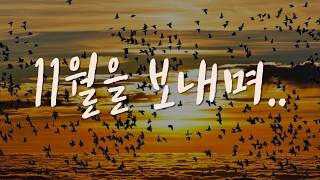 [정성담은글]  ♡11월을 보내며..♡