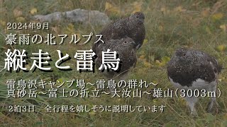 大雨の立山で雷鳥の群れに遭遇した時の話をしよう