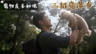 黑糖：爸爸～帶我去玩！ ｜寵物友善秘境 三貂嶺瀑布｜