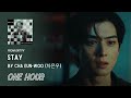 STAY by CHA EUN WOO (차은우) | One Hour Loop | Grugroove🎶