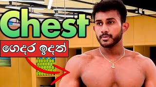 ගෙදර ඉඳන් CHEST එක හදාගන්න Workout එක මෙන්න!