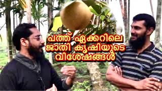 പത്ത് ഏക്കറിൽ ജാതി കൃഷിയുടെ വിശേഷങ്ങളുമായി /FARM/FARMER/MALAYALAM/KERALA