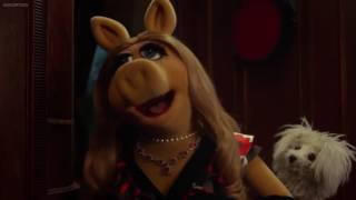 Muppets Most Wanted Constantine yells at Miss Piggy