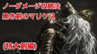 【エルデンリング 特大剣ノーダメージ攻略】 黒き剣のマリケス |〈No Damage〉Maliketh, the Black Blade BOSS【ELDEN RING】