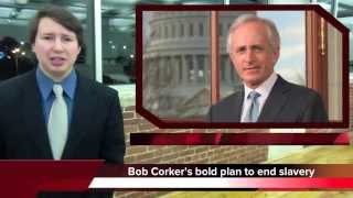 Chattanooga Update - February 25, 2015