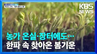 코로나19 속 세번째 입춘…어김없는 봄맞이 / KBS  2022.02.05.