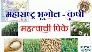 Geography महाराष्ट्राचा भूगोल - कृषी - महत्वाची पिके ||MPSC COMBINED TALATHI||