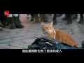 四分钟带你看完温情治愈系电影《流浪猫鲍勃》