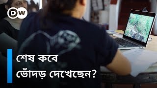 হারিয়ে যাচ্ছে ভোঁদড়