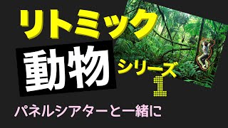 【Happy リトミックエッピー29】森の動物のリトミック　ぞう・へび・きつつき・ふくろう　パネルシアターと一緒に楽しもう