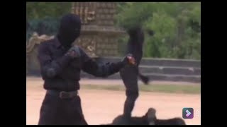 S F කොහොමද  ගැම්ම  ( SPECIAL FORCES HAND TO HAND COMBAT )