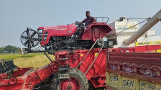 Balkar B-525 Dhan katai Full speed#balkar#trendingreels @balkarindia #farming #harvestorbalkar