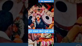 ତୁମ ସାତେ ଆମ ପ୍ରାଣ ଛାଡି🙏2024 #shorts #yshorts #jagannath