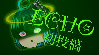 (初投稿)ECHO／meme