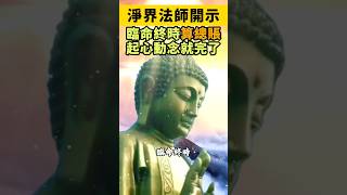 淨界法師：臨命終時算總賬，起心動念就完了！