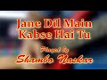 Jane dil mail kabse hai tu (Instrumental)| played by Shambo Naskar.
