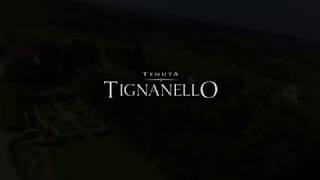 Tenuta Tignanello - 2017