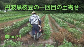 丹波黒枝豆1回目の土寄せ 農log79