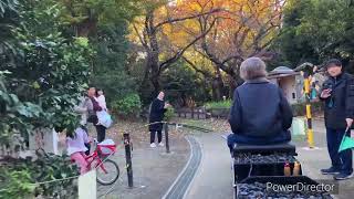 東京・世田谷公園のミニSLに乗ってみた