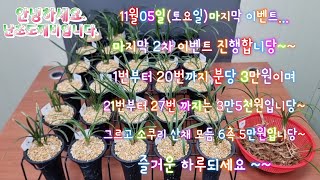 11월05일(토요일) 산반호복륜 마지막 2차 이벤트 진행합니당~ 1번부터 20번까지 분당 3만원이며 21번부터 27번까지 분당 3만5천원입니당~~ 소쿠리 모듬 5만원...