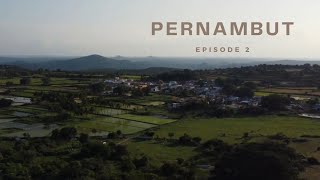 Outskirts of Pernambut | Episode 2 | Cinematic Drone Shots | DJI Mini 2