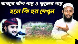 কবরের উপর বাঁশ গাছ ও ফুলের গাছ হলে কি হয় দেখুন । @mustafizrahmani