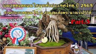 Bonsai Station [Tour Station] EP.24.3 รวมบอนไซจากทั่วประเทศไทย งานประกวดสวนสมเด็จ part.3