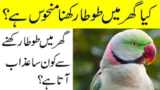 Kia Ghar Main Tota Palna Halal Hai? | Tota Rakne Ke Nuksan | Parrots in Islam