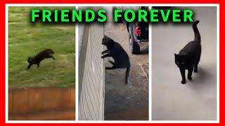 FRIENDS FOREVER / Trending Tik Tok videos, Compilations, Challenges, Funny TIKTOK clips