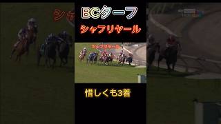 [BCターフ]シャフリヤール惜しくも3着　#競馬 #bc #シャフリヤール