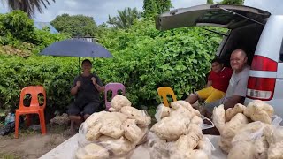 Vietnamese food in Tonga?