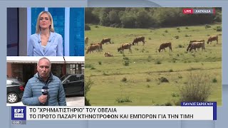 Παζάρι για την τιμή του οβελία στο Λαγκαδά Θεσσαλονίκης | 04/04/2023 | ΕΡΤ