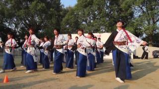 鹿児島国際大学 創生児さん　2016　YOSAKOIみづま祭り