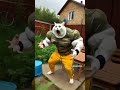 cat kitten fight zombies 😹 catsoftiktok catlovers cat cute funnycats catcartoon