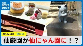 2月22日猫の日前に仙巌園がネコ尽くしで仙にゃん園に！？　鹿児島市（MBCニューズナウ 2025年2月20日放送）