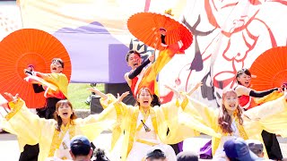 [4K] 東京農業大学YOSAKOIソーラン部大黒天　YOSAKOIソーラン祭り 2024 土曜日 道庁赤れんが会場 (中央)