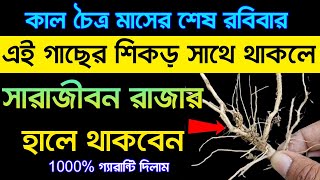 কাল চৈত্র মাসের শেষ রবিবার এই গাছের শিকড় সাথে থাকলে সারাজীবন রাজার হালে থাকবেন 1000% গ্যারান্টি