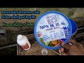 Pupuk kocor cabe musim hujan dengan NPK 16:16:16 mix H2O2