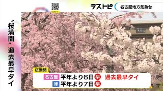 2018年等と並び過去最速…名古屋で桜が満開 鶴舞公園は解禁された食べ歩きを楽しむ人等で賑わう