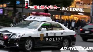 渋谷スクランブル交差点を緊急走行するパトカー！事件か？