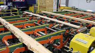 Combination Curve Sawing Gang / Board Edger