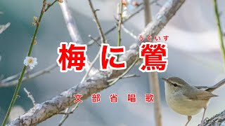 梅に鶯｜文部省唱歌｜歌詞付き｜日のよくあたる にわさきの