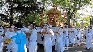 亀田八幡宮例大祭2022  三年ぶりの御神輿渡御