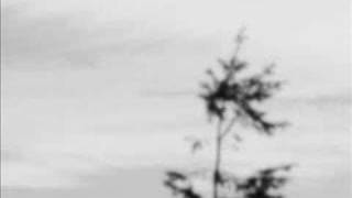 Arovane - Good bye Forever