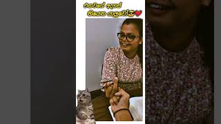 යාලුවත් මං වගේම උනාම🤣❤ #shorts #funny #prank